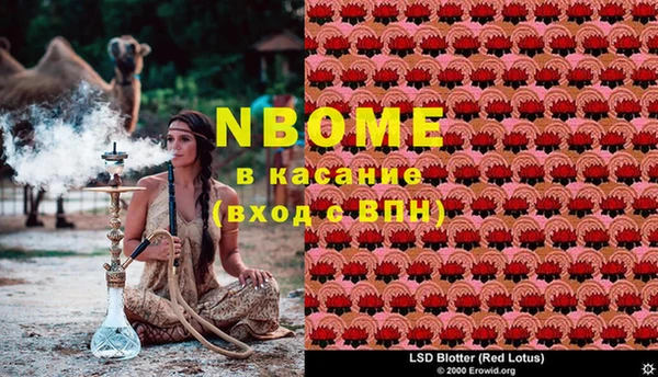 бошки Вязьма