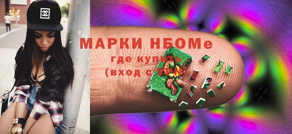 индика Сосновоборск