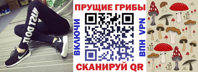 Псилоцибиновые грибы ЛСД  гидра ССЫЛКА  Дмитровск  продажа наркотиков 